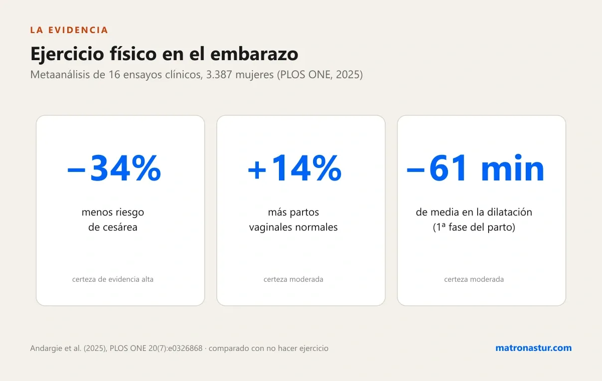 Infografía con las tres cifras del metaanálisis de PLOS ONE 2025 sobre ejercicio físico y parto: 34% menos riesgo de cesárea, 14% más partos vaginales normales, y 61 minutos menos de duración media en la primera fase del parto